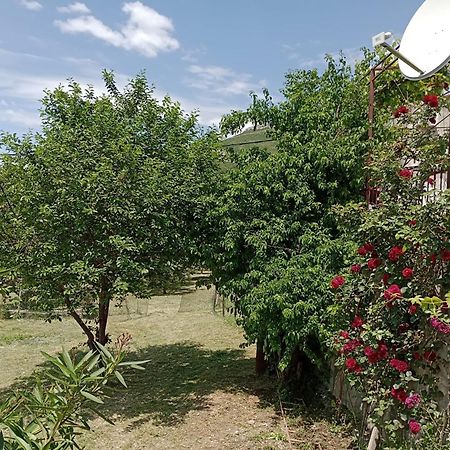 Apartment Natali Kaštel Stari 外观 照片